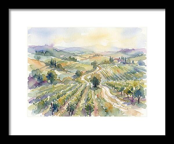 Vineyard Serenity In Watercolor