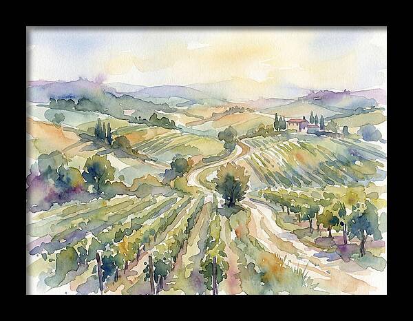 Vineyard Serenity In Watercolor