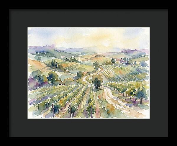 Vineyard Serenity In Watercolor