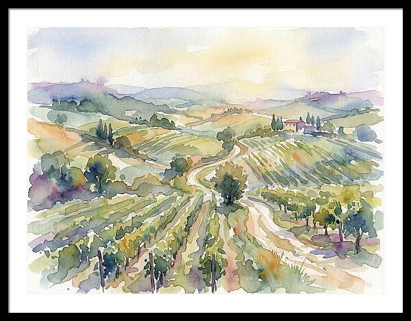 Vineyard Serenity In Watercolor
