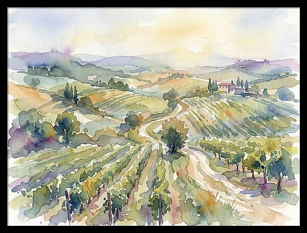Vineyard Serenity In Watercolor