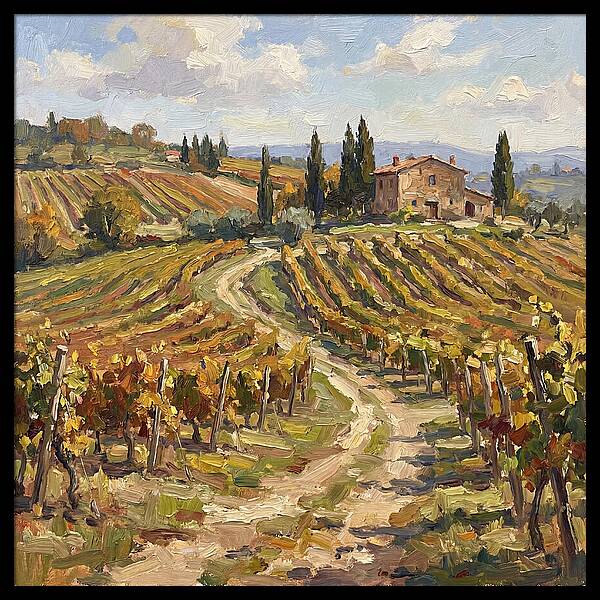 Vineyard Serenity Under Blue Skies