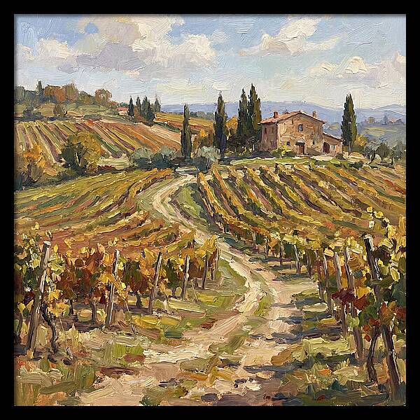 Vineyard Serenity Under Blue Skies