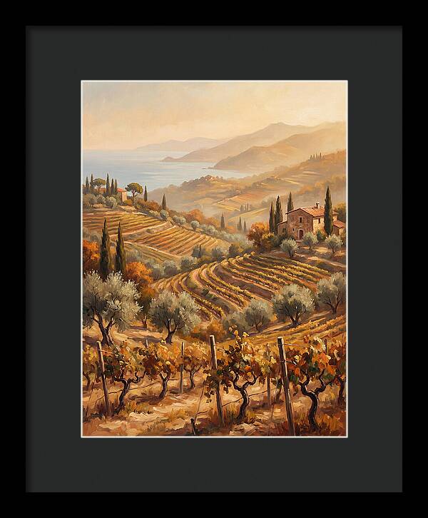Vineyard Serenity Under Mediterranean Sun
