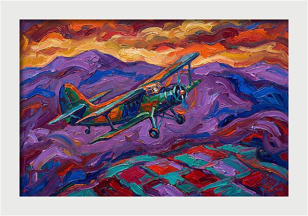 Vintage Airplane In Flight