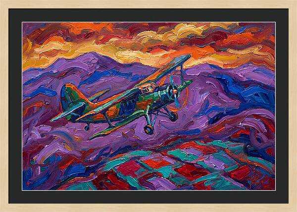 Vintage Airplane In Flight