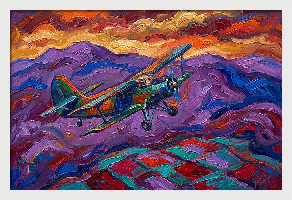 Vintage Airplane In Flight