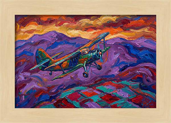 Vintage Airplane In Flight