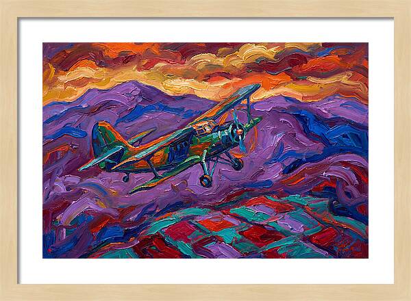 Vintage Airplane In Flight