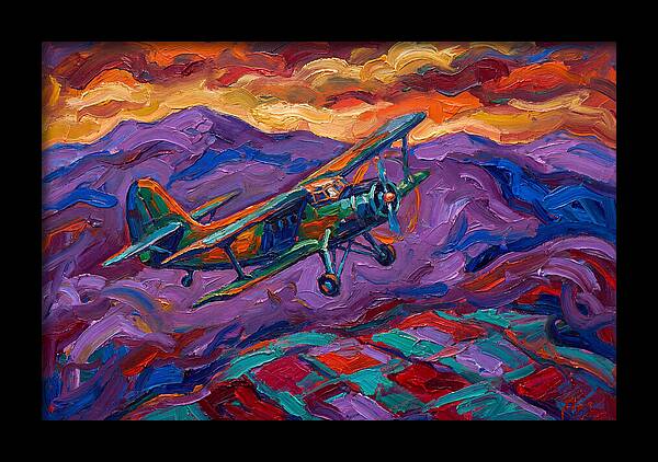 Vintage Airplane In Flight