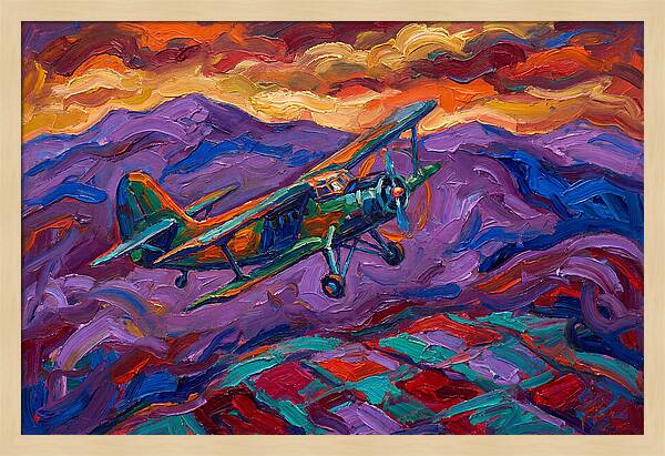 Vintage Airplane In Flight