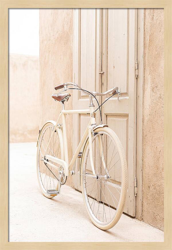 Vintage Bicycle By The Door