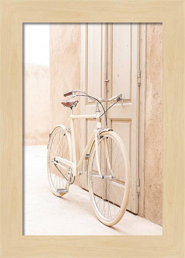 Vintage Bicycle By The Door