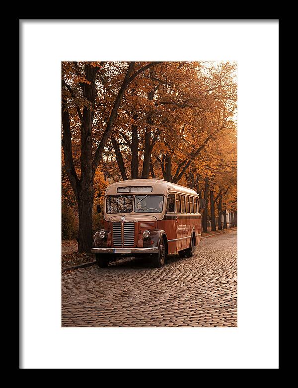 Vintage Bus Amidst Autumn Leaves