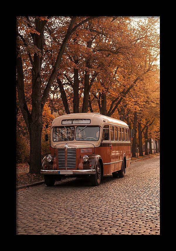 Vintage Bus Amidst Autumn Leaves