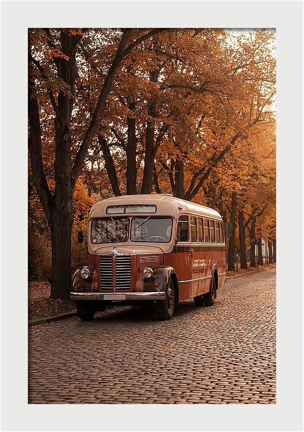 Vintage Bus Amidst Autumn Leaves