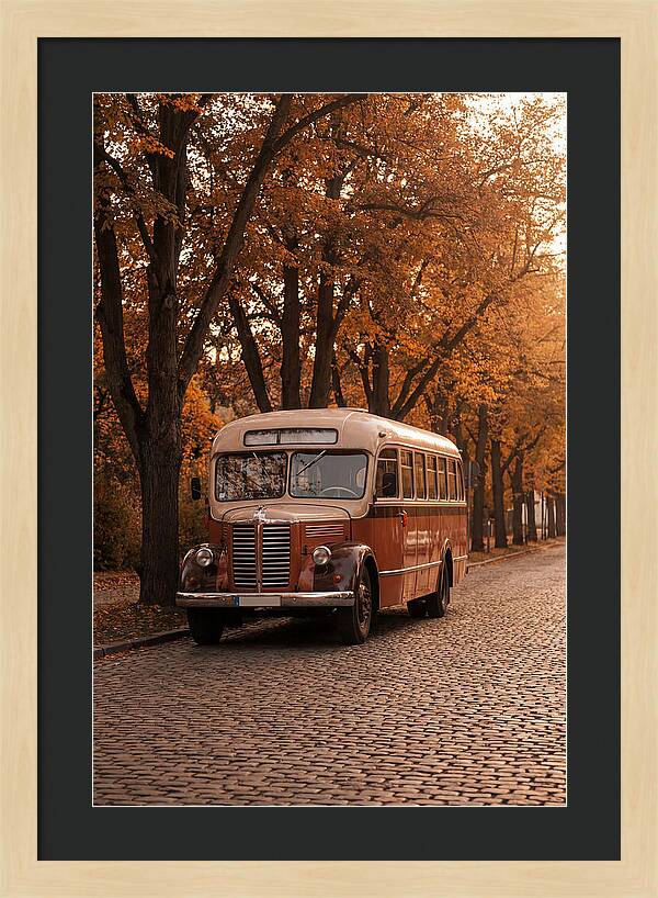 Vintage Bus Amidst Autumn Leaves