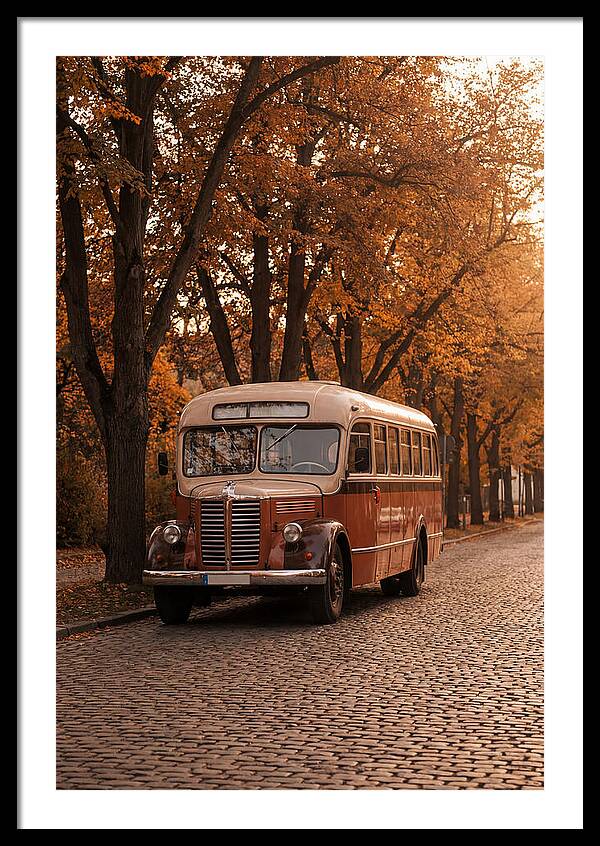 Vintage Bus Amidst Autumn Leaves