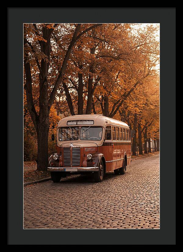 Vintage Bus Amidst Autumn Leaves