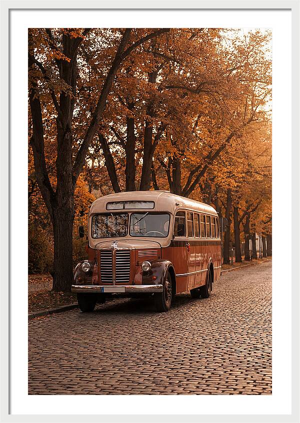 Vintage Bus Amidst Autumn Leaves