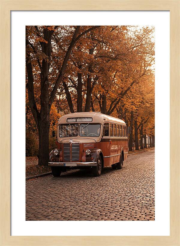 Vintage Bus Amidst Autumn Leaves