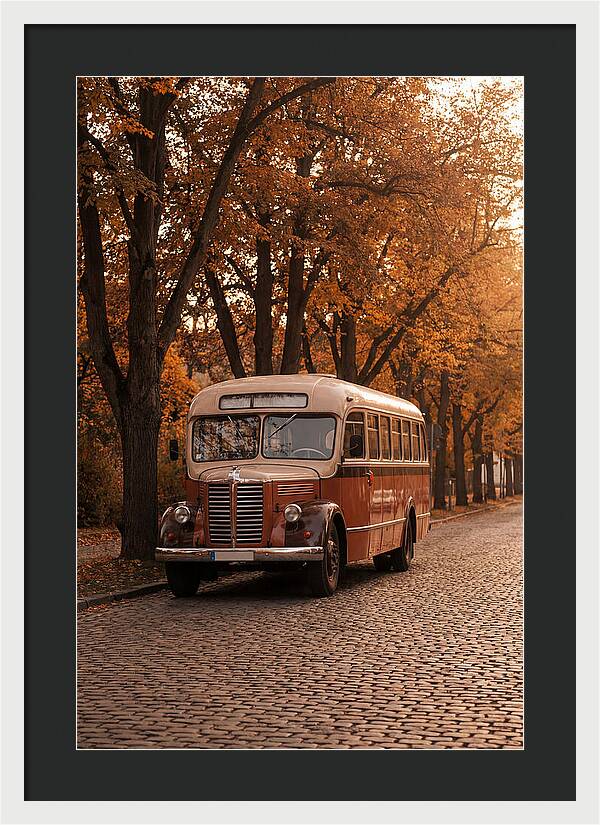 Vintage Bus Amidst Autumn Leaves