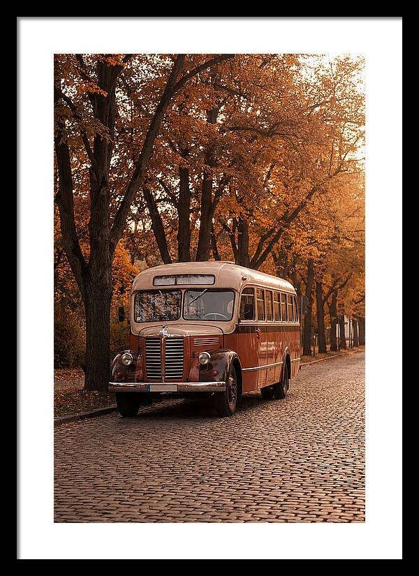 Vintage Bus Amidst Autumn Leaves