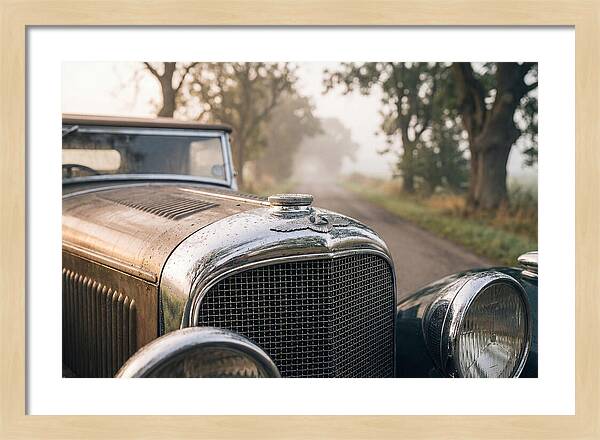 Vintage Car Grille In Morning Mist