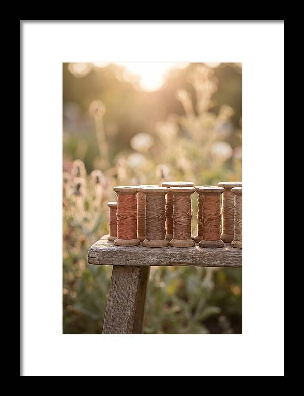 Vintage Cotton Reels In Nature