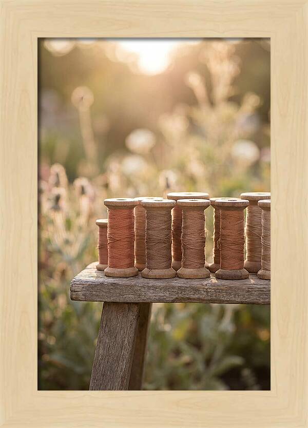 Vintage Cotton Reels In Nature
