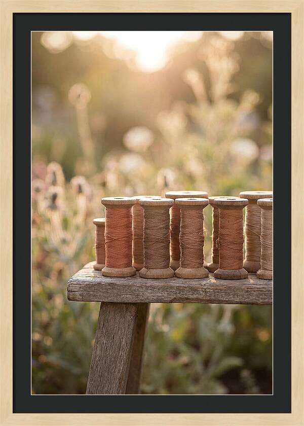 Vintage Cotton Reels In Nature