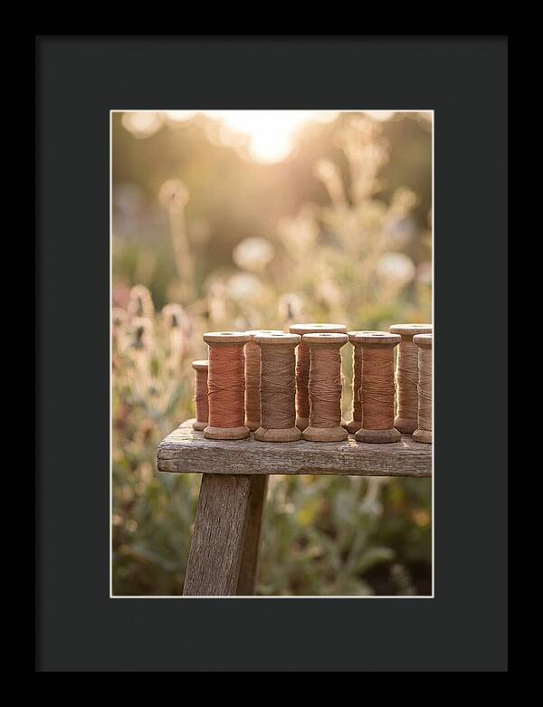 Vintage Cotton Reels In Nature