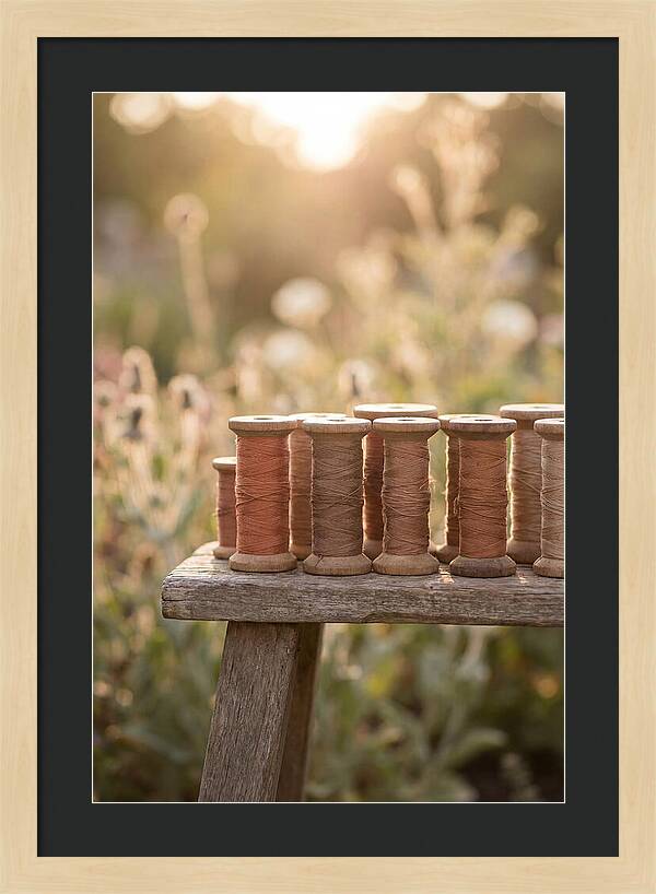 Vintage Cotton Reels In Nature