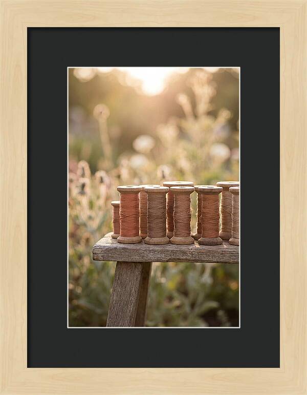 Vintage Cotton Reels In Nature