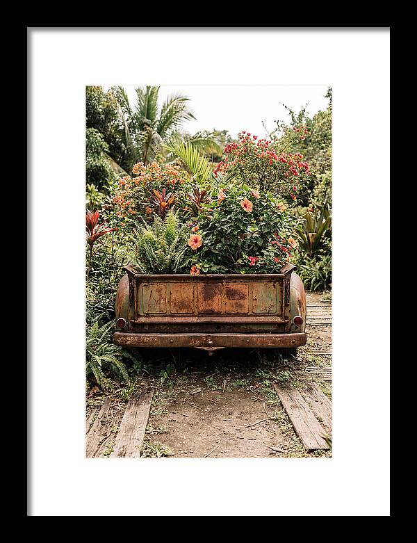 Vintage Farm Truck Tailgate Garden