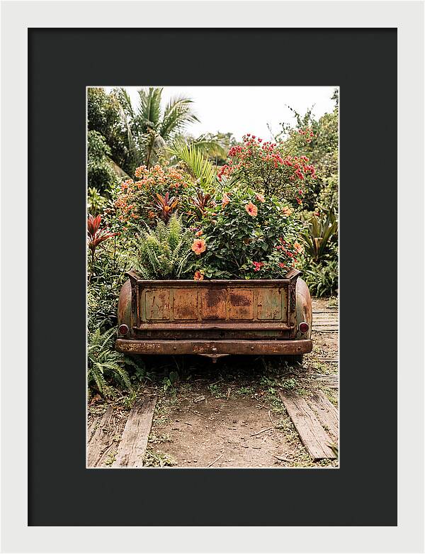 Vintage Farm Truck Tailgate Garden