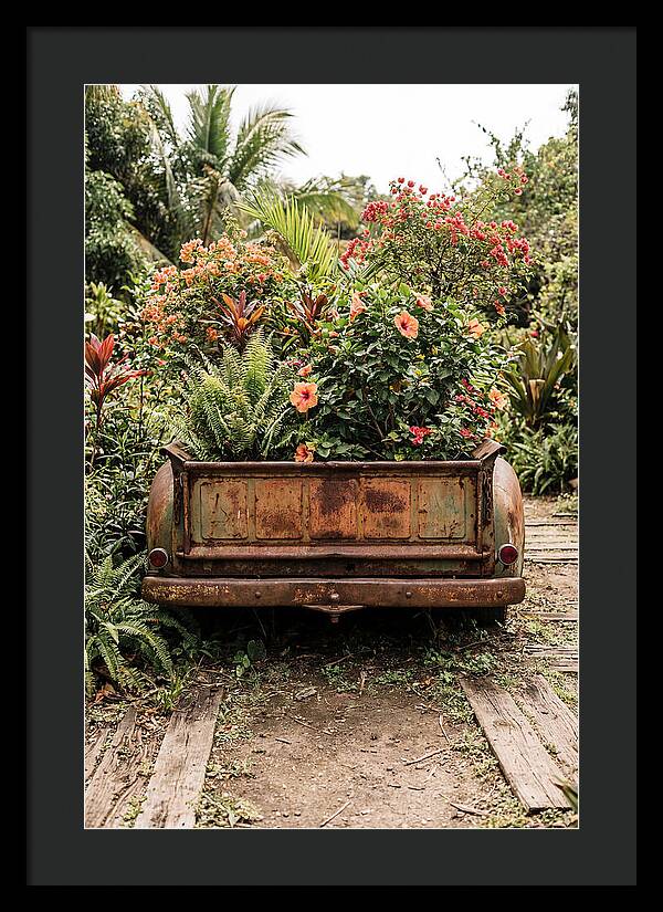 Vintage Farm Truck Tailgate Garden