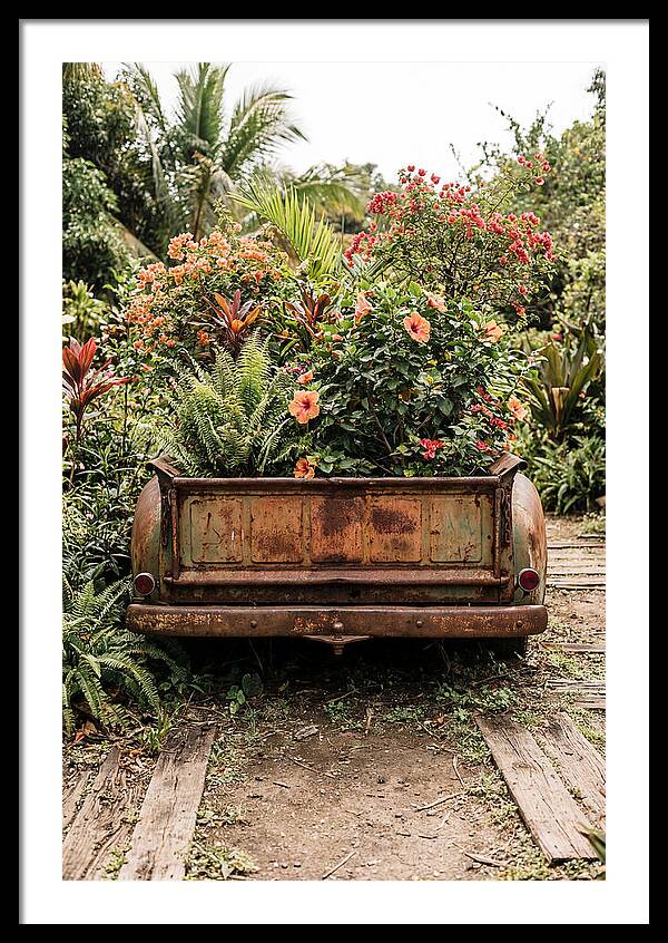 Vintage Farm Truck Tailgate Garden