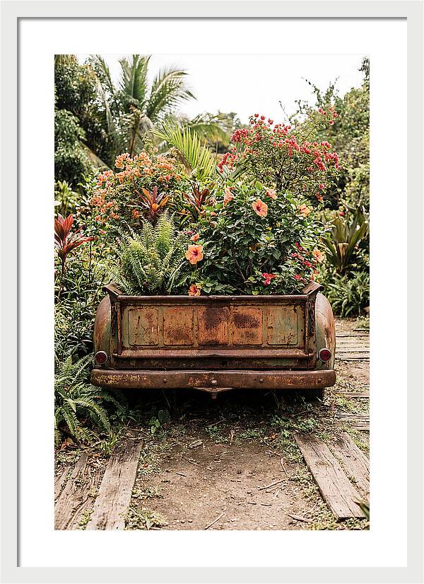 Vintage Farm Truck Tailgate Garden