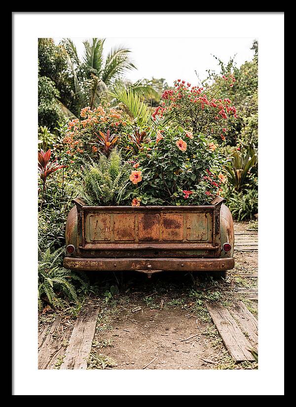 Vintage Farm Truck Tailgate Garden