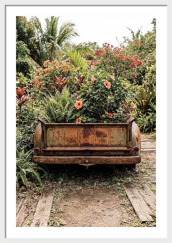 Vintage Farm Truck Tailgate Garden