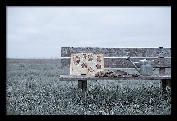 Vintage Garden Tools And Seed Catalog