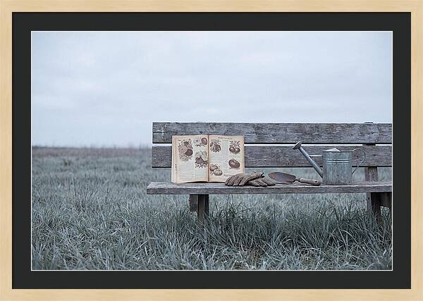 Vintage Garden Tools And Seed Catalog