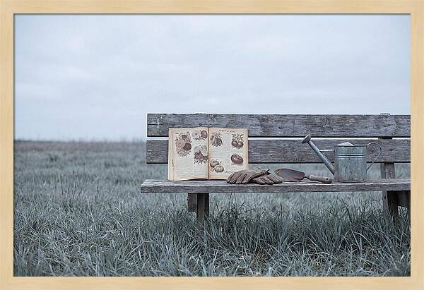 Vintage Garden Tools And Seed Catalog