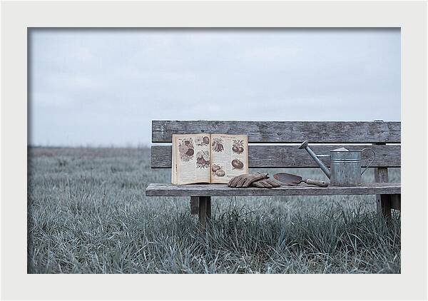 Vintage Garden Tools And Seed Catalog