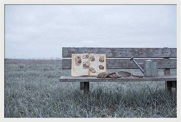 Vintage Garden Tools And Seed Catalog