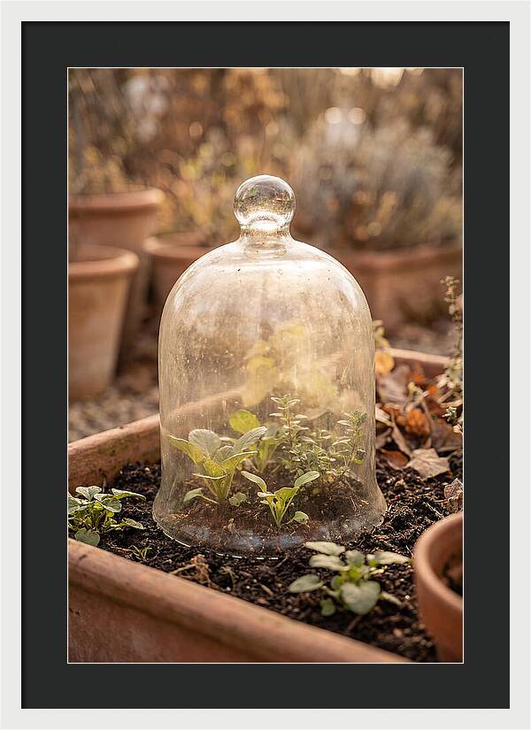 Vintage Glass Cloche Over Garden