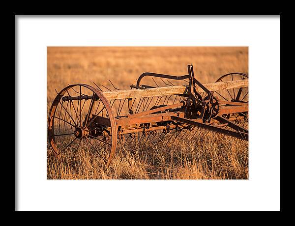 Vintage Hay Tedder In Golden Light