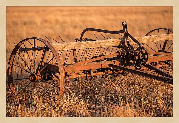 Vintage Hay Tedder In Golden Light