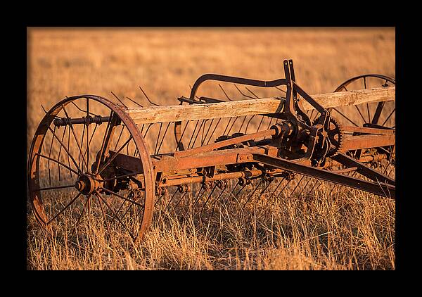 Vintage Hay Tedder In Golden Light